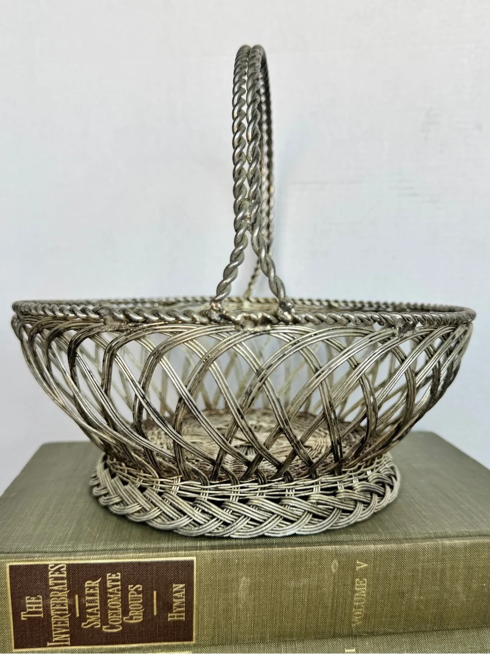 Vintage Silver Woven Wire Basket with Handle Decorative Home Accent